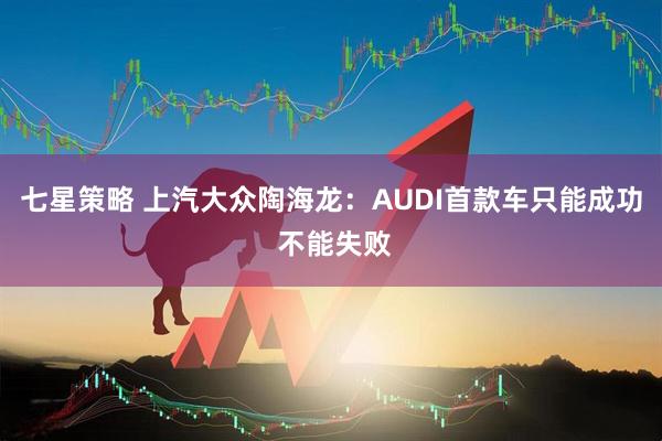 七星策略 上汽大众陶海龙：AUDI首款车只能成功 不能失败